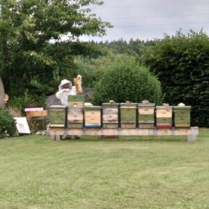 Alternative view of Bienenpate werden