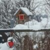 Cremehonig 3+1 Gratis – Bild 12