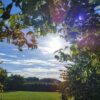 Cremehonig mit Zimt – Bild 6
