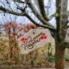 Geschenk 2 – Bild 6