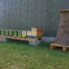 Bienen für deinen Garten – Bild 4
