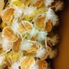 Bienenwachs – Bild 3