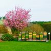 Cremehonig mit Zimt – Bild 2