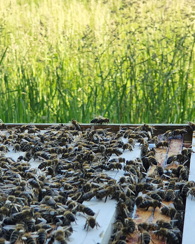 Geschenk 1 – Bild 4