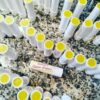 Bettina`s Lippenbalsam – Bild 2