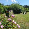 Bettina`s Lippenbalsam – Bild 5