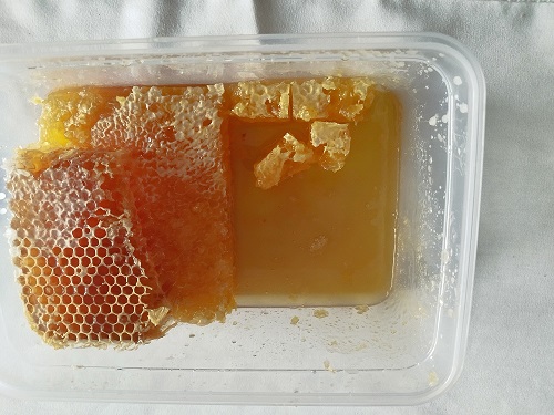 Wabenhonig - direkt vom Bienenstock im Holzrahmen – Bild 7