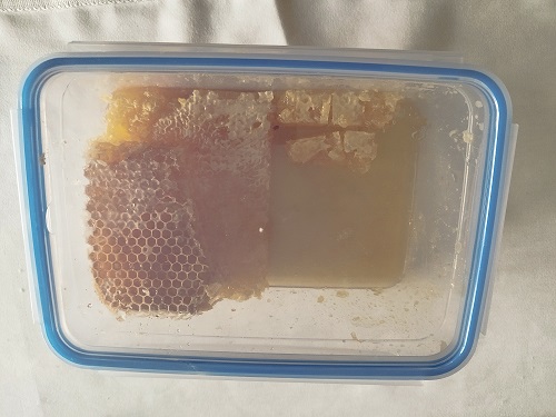 Wabenhonig - direkt vom Bienenstock im Holzrahmen – Bild 9