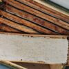 Wabenhonig - direkt vom Bienenstock im Holzrahmen – Bild 2