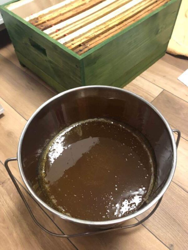 Honig im Kübel