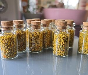 Alternative view of Blütenpollen