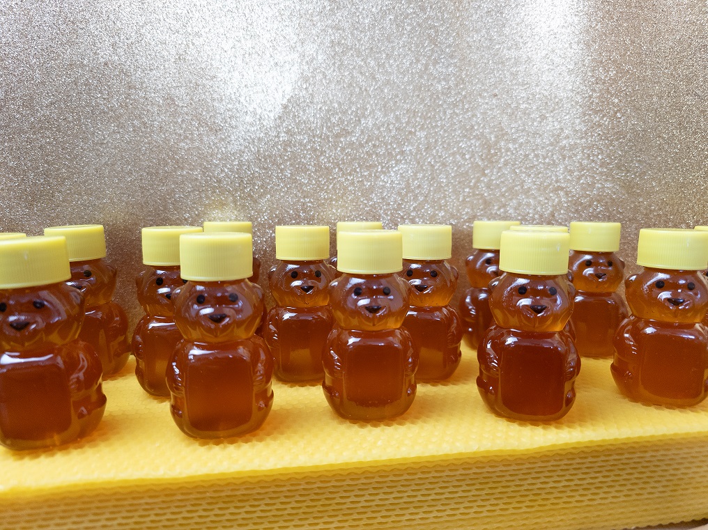 Honigbärchen – Bild 2