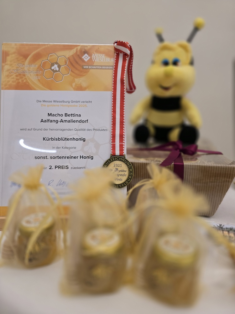 Kürbisblütenhonig – Bild 2