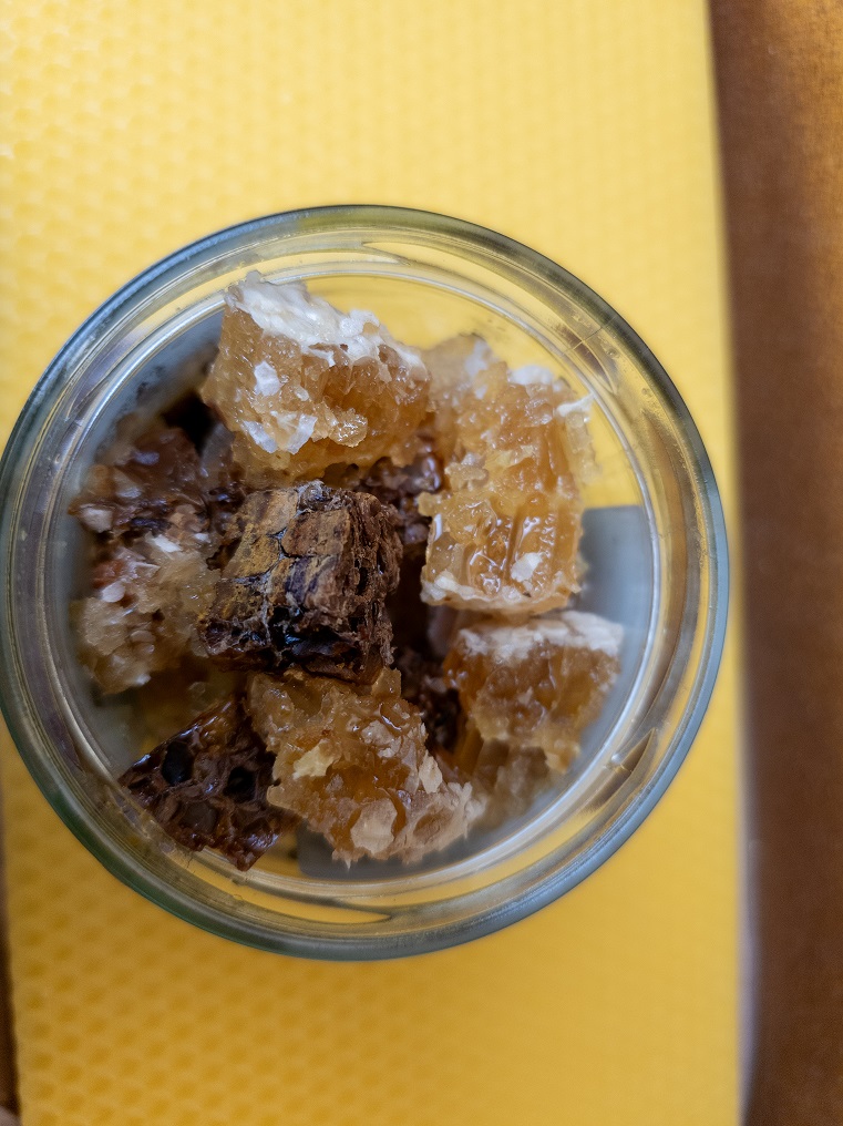 Wabenhonig mit Bienenbrot – Bild 4